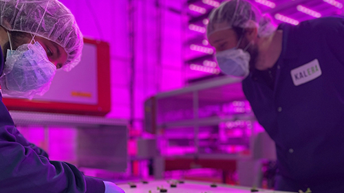 Kalera Denver Facility Teaser