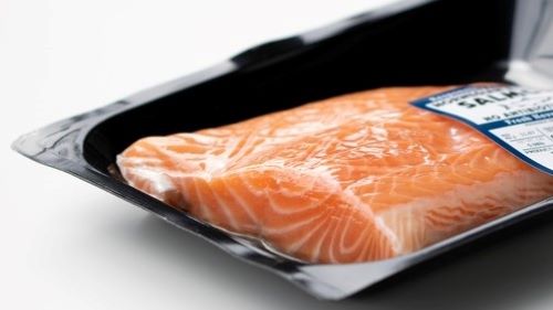 Salmon Teaser