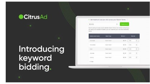 CitrusAd Teaser