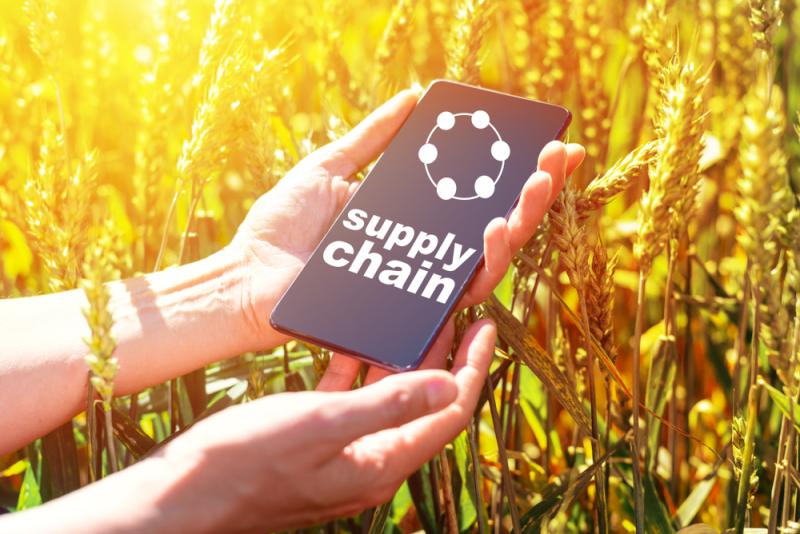 Supply Chain
