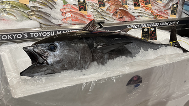 Wegmans seafood new arrivals