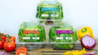 Food Lion Adds Hydroponic Produce in 300+ Stores