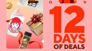 DoorDash 12 Day Holiday Savings Event