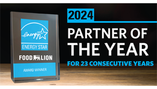 Fodo Lion Energy Star Teaser