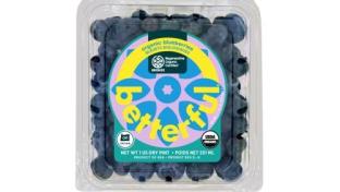 AC Foods Blueberries