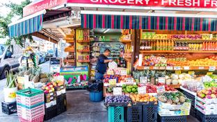 Bronx Bodega Teaser