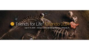 Friends for Life Orlando 2024 Teaser