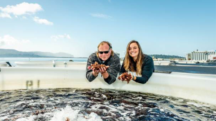 Pacific Dulse Teaser