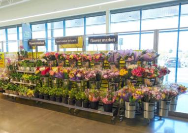 Lidl Floral 