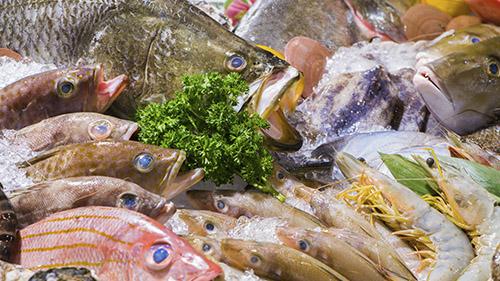Seafood Traceability