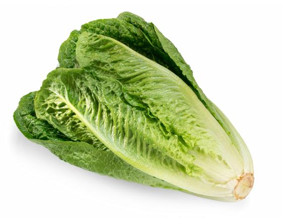 Limiting the Impact of the Romaine Lettuce Recall CDC FDA