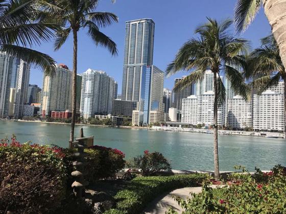 Grocerant Concept to Open Within Luxury Miami Building My Deli Market Panorama Tower