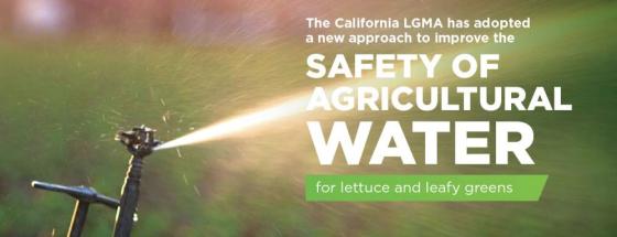 California Farmers Strengthen Leafy Greens Food Safety Practices