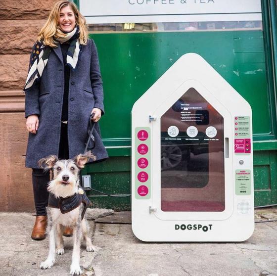 QFC to Offer Doghouses While Customers Shop