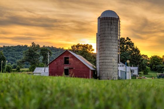 Big Y Again Backs Local Farmers Awards