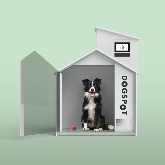 Stop & Shop Piloting Doghouses