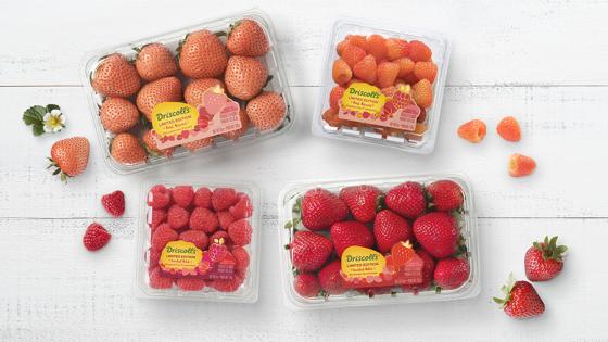 Driscoll’s Limited-Edition Berry Collection