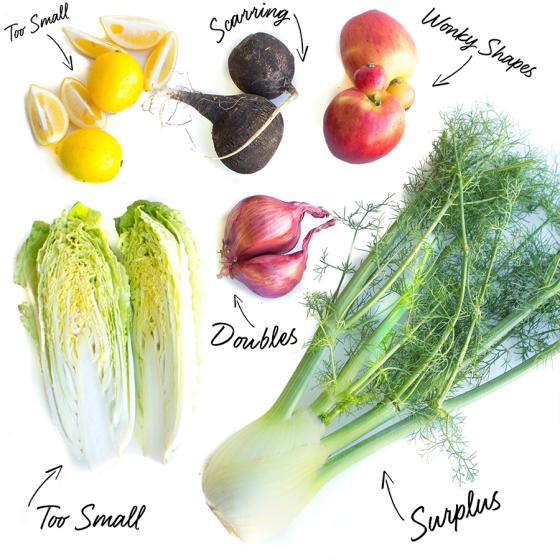 Imperfect Produce Opens Newark, NJ-Area Warehouse