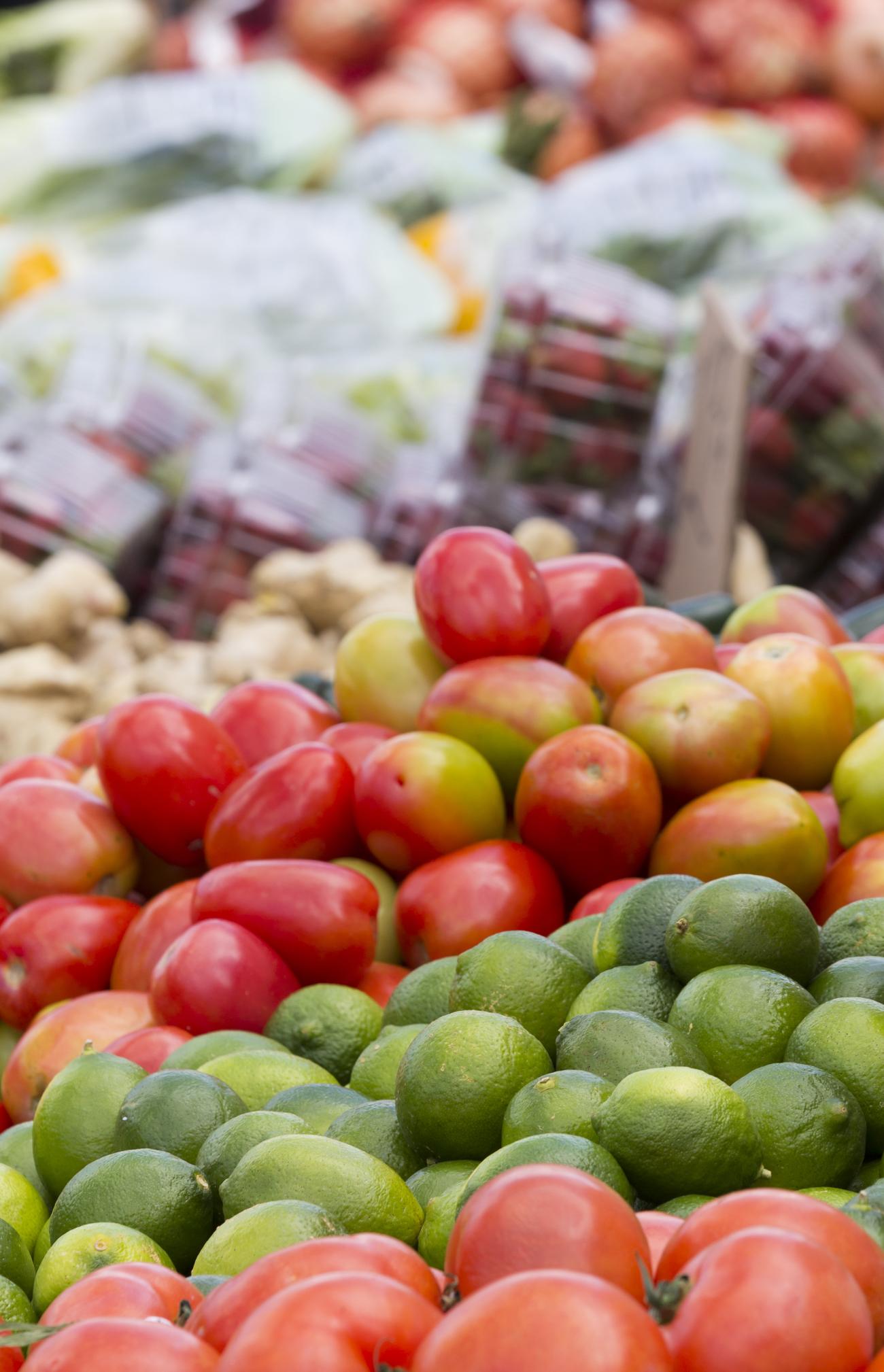 SNAP Customers in Boston Can Use EBT Cards to Order Groceries Online ...