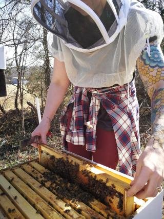 Mom’s Organic Market Selling Bees Richland Honey Bees