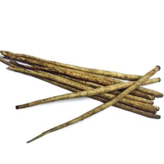 Winter Root Vegetables Equal Sales Success Celery Root Fennel gobo root