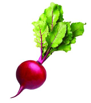 3. BEET MAC stage: Proliferation