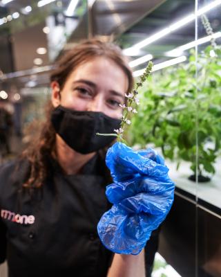 Whole Foods Store Features Mini-Farm