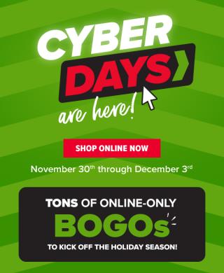 Giant Co. Introduces Cyber Days Giant Direct Martin's Direct