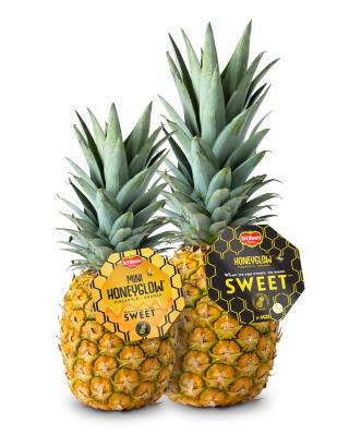 Mini Honeyglow Pineapple Main Image