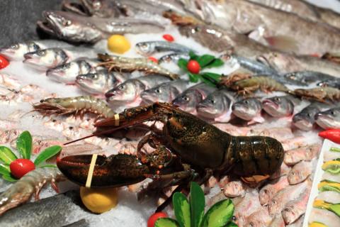 View of a lobster at a fish market