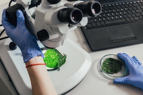 Industry Backs Final Rule on Single Bioengineered Food Disclosure Standard FMI NGA GMA