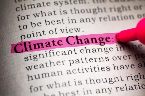 Ahold Delhaize Joins Fight Against Climate Change