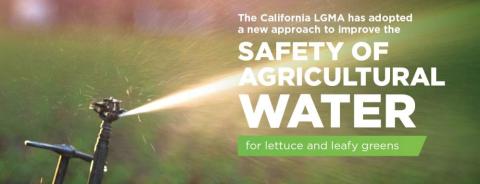 California Farmers Strengthen Leafy Greens Food Safety Practices