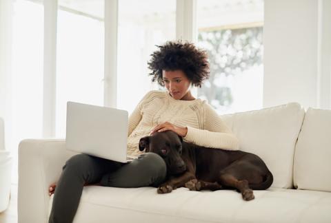 Walmart Debuts Online Pet Pharmacy