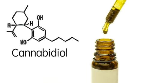 4 Things All Grocers Need to Know About CBD