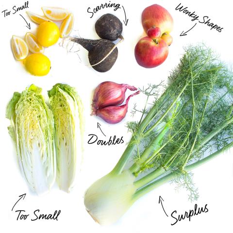 Imperfect Produce Opens Newark, NJ-Area Warehouse
