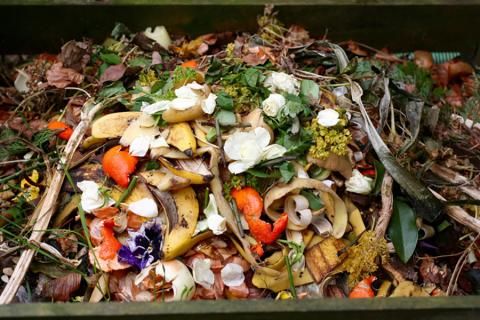 Using Technology to Combat Food Waste