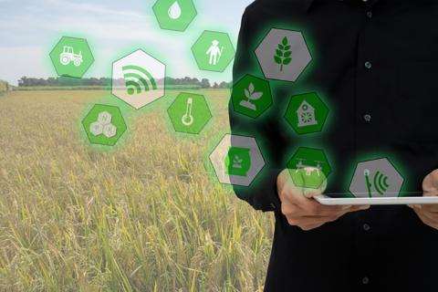 Tapping the Potential of IoT in the Food Cold Chain