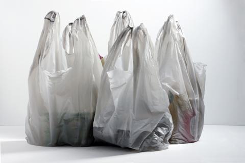Big Y to Boot Plastic Bags at Checkout in August