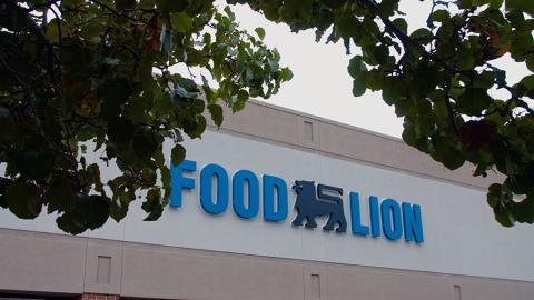 Food Lion Adopts Healthy Savings Program