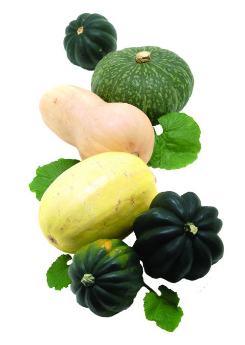 Excite Shoppers About the Bounty of Fall Fruits, Vegetables