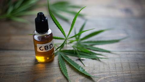 Store Brands Interest in Cannabis Grows