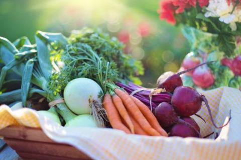 Ahold Delhaize USA Fresh Food Facility Opens