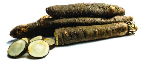 Winter Root Vegetables Equal Sales Success salsify