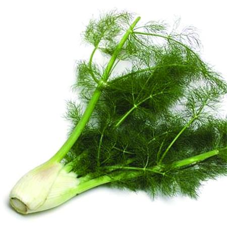 Winter Root Vegetables Equal Sales Success Celery Root Fennel