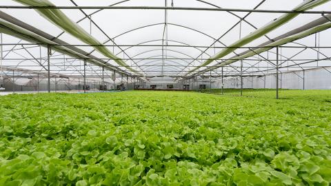United Fresh 2020 to Feature Inaugural Controlled-Environment Pavilion