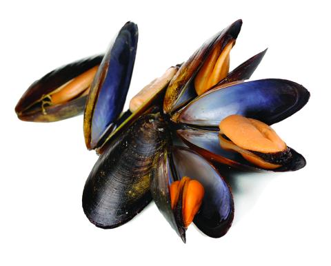 2020 Retail Seafood Review: Sustainability Remains Key Concern