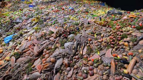 Report Provides Food Waste Reduction Tips