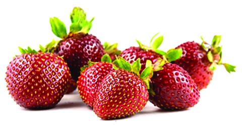 Millennials Meet Their Match With Organic Produce
