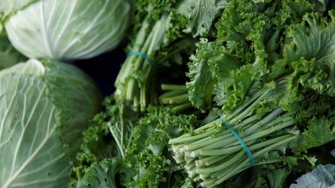 FMI, LGMA Stand Behind FDA’s Leafy Greens Action Plan